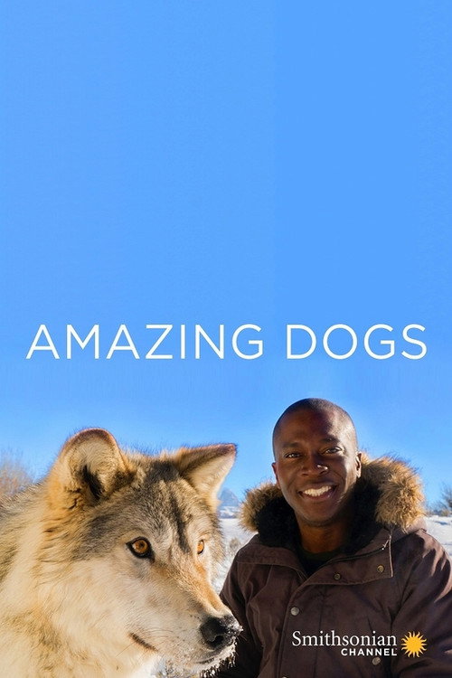 Man's Best Friend
