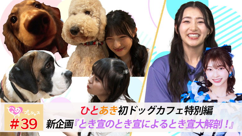 Episode 39