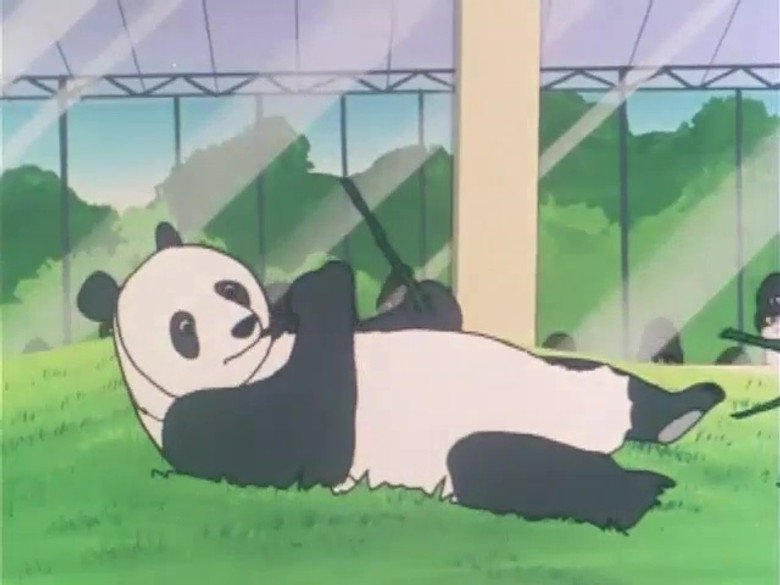 I Want a Panda