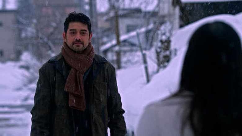 Snowfall